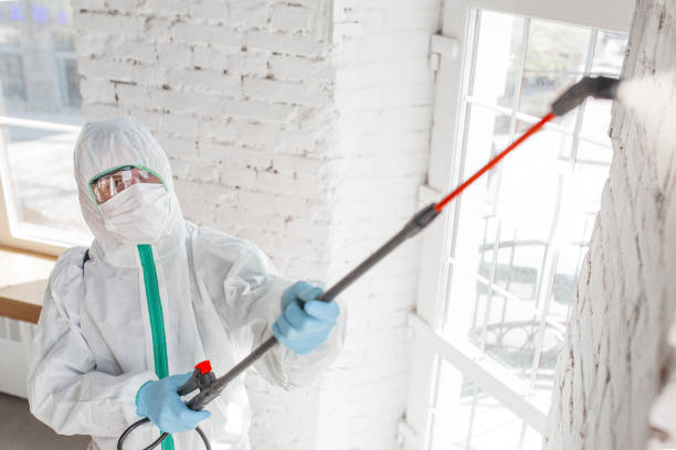 Best HVAC Mold Inspection and Cleaning  in Verde Village, AZ