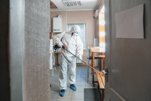 Best Mold Prevention Services  in Verde Village, AZ