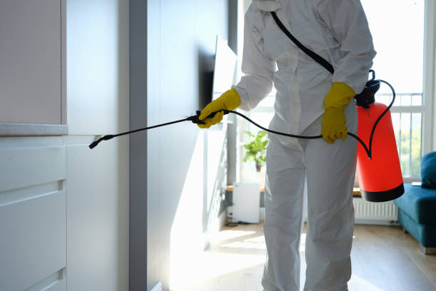 Best Airborne Mold Testing  in Verde Village, AZ