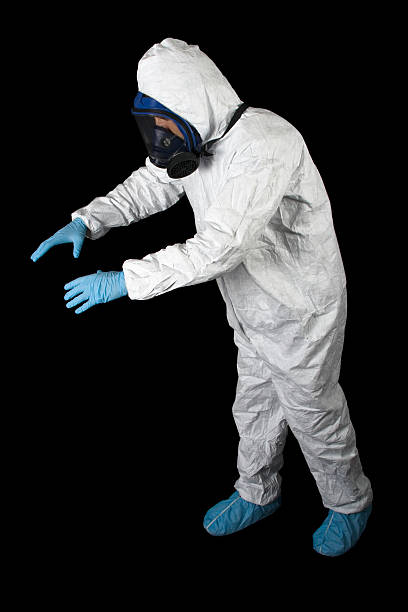 Best Mold Damage Restoration  in Verde Village, AZ