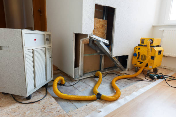 Best Mold Damage Restoration  in Verde Village, AZ