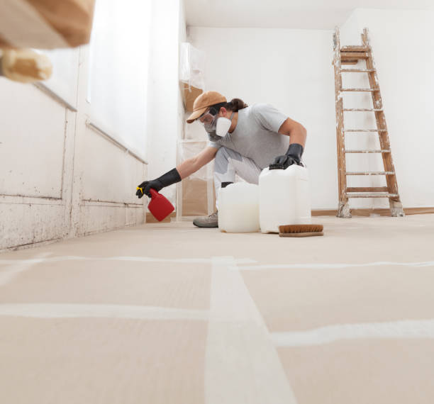 Best Comprehensive Air Testing for Mold Contaminants  in Verde Village, AZ